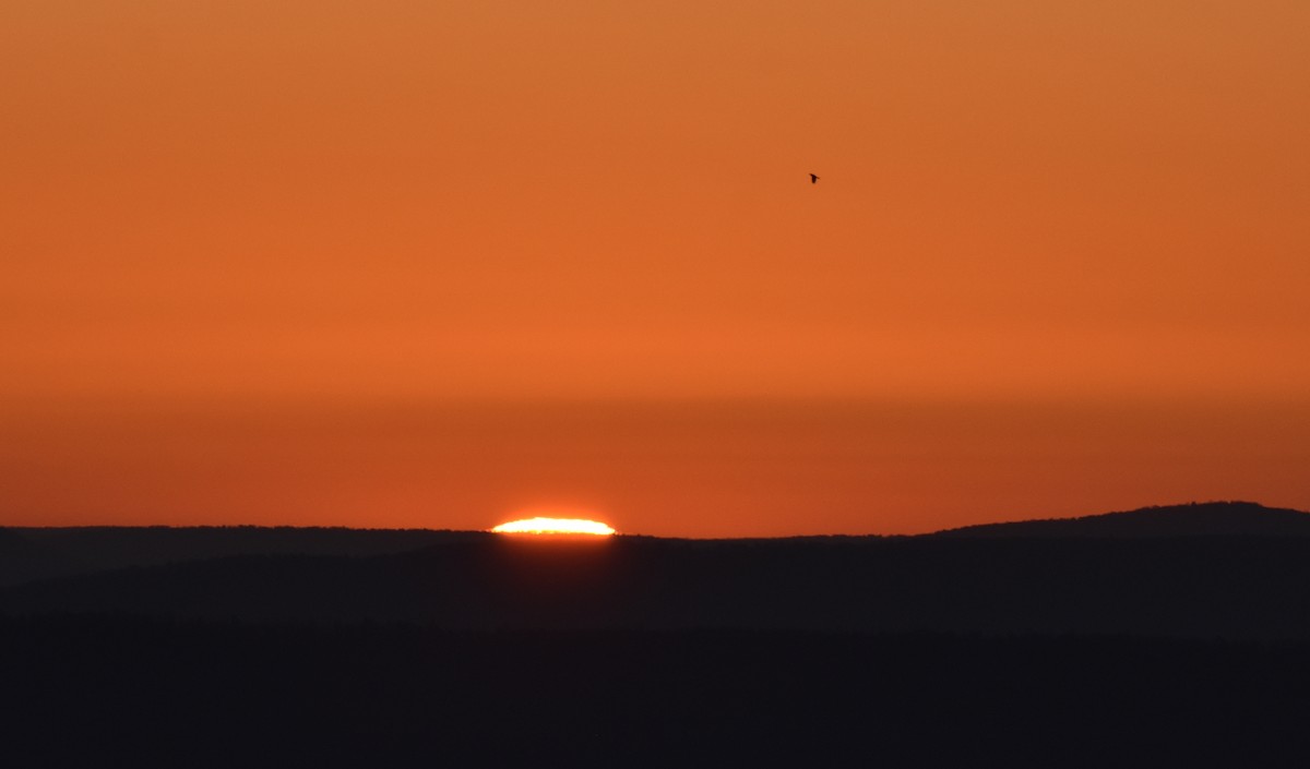 vandretrost - ML278370341