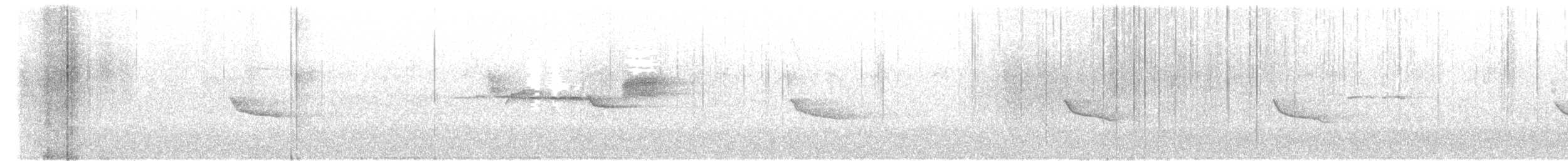 Black-throated Green Warbler - ML27837251