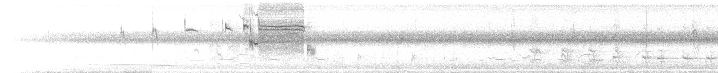 White-browed Meadowlark - ML278406261