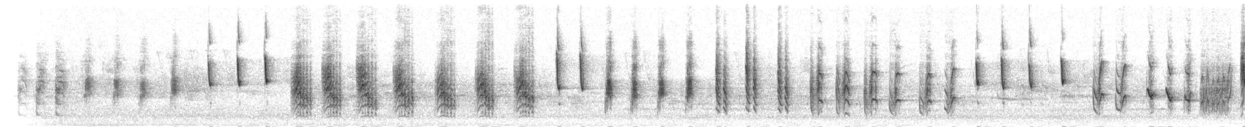 Rousserolle effarvatte (groupe baeticatus) - ML278445