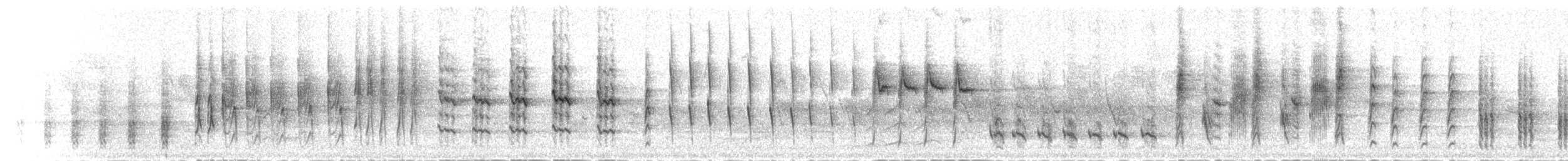 rákosník obecný [skupina baeticatus] - ML278446