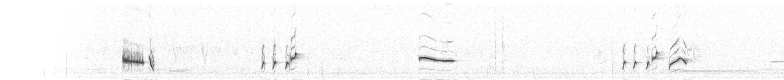 Травяной жаворонок (apiata) - ML278464