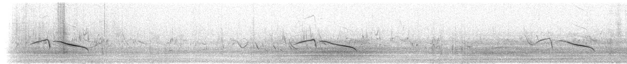 Cape Long-billed Lark (Cape) - ML278500