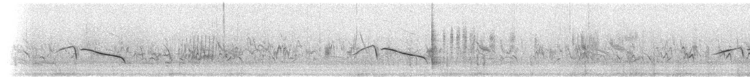 Cape Long-billed Lark (Cape) - ML278501