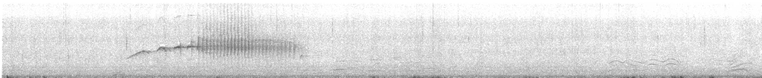 Dark-bellied Cinclodes - ML278501391