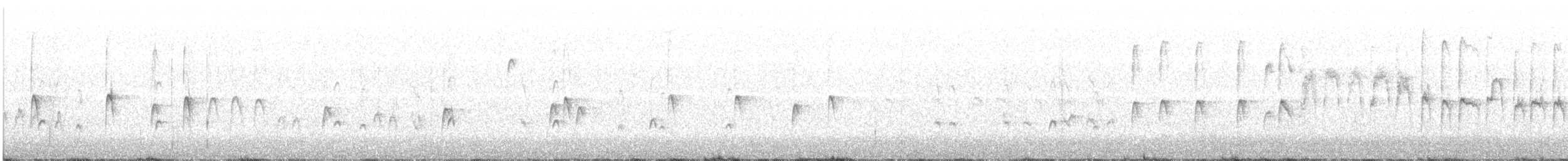 Pygmy Nuthatch - ML278546971