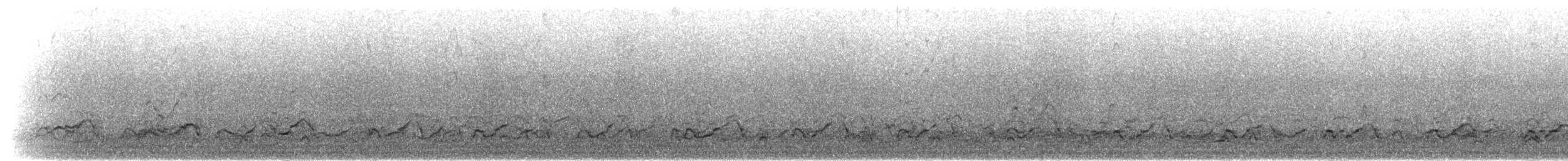 Cormoran du Cap - ML278549