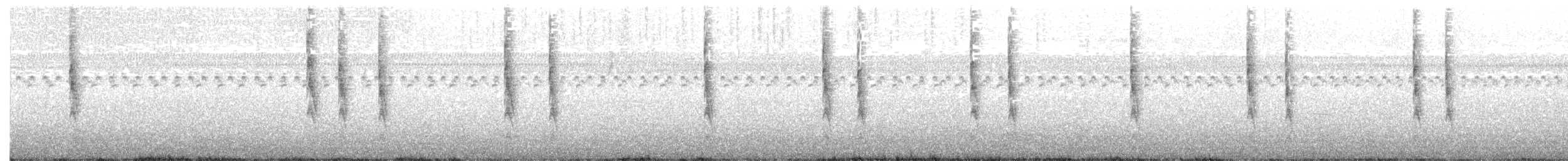 Winter Wren - ML278581441