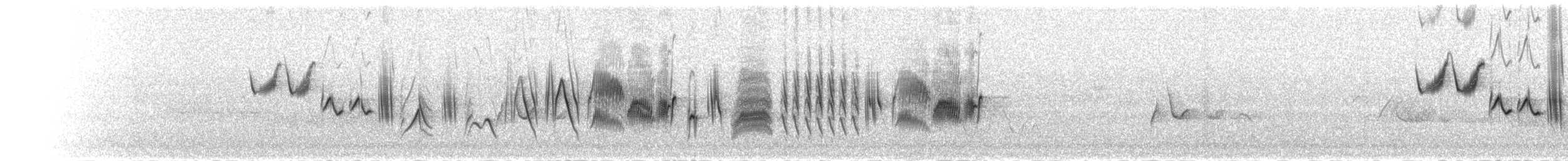 Yellow Canary - ML278595