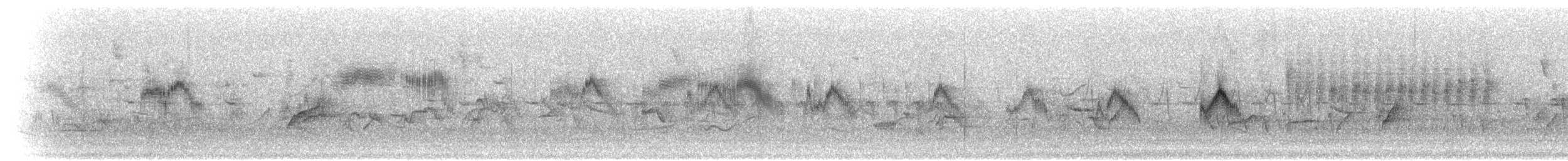 bekseiler (barbatus gr.) - ML278689