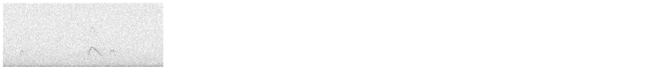 Eurasian Wigeon - ML278692031