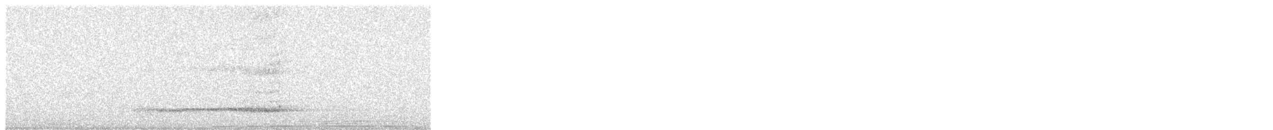 Western Barn Owl - ML278692061