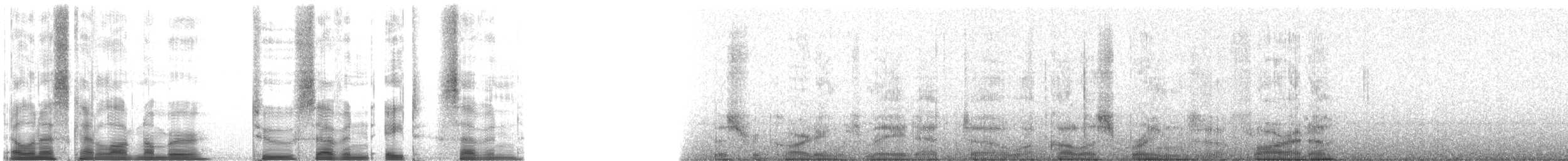 Арама [группа pictus] - ML2787