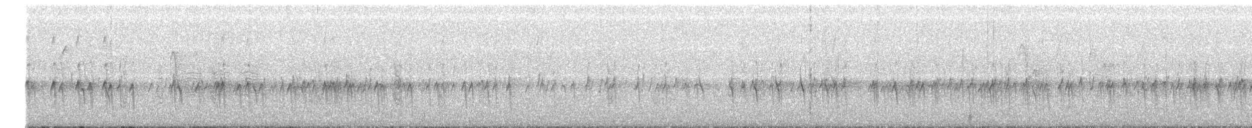 Bec-croisé des sapins (type 12) - ML278717021