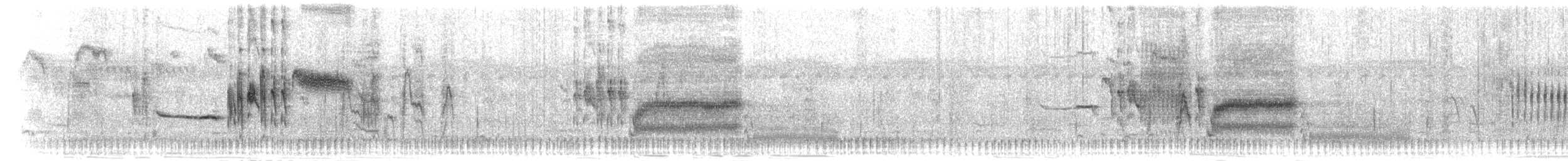 tykknebbvever - ML278734