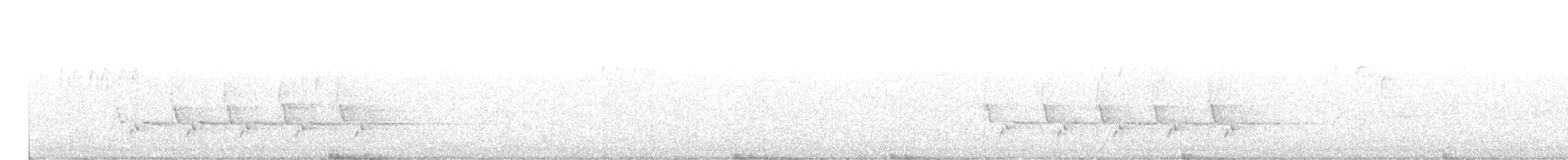 Каролинский крапивник - ML278757281