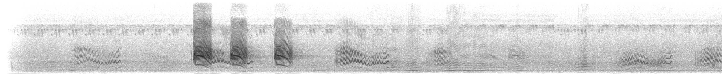 シマオオナガテリムク（mevesii） - ML278779