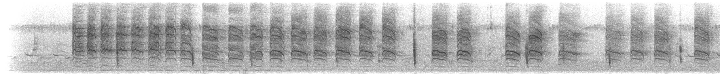 Cisticole grinçante - ML278782