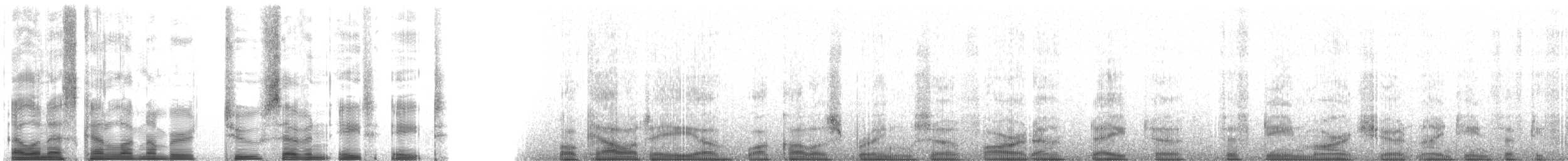 Арама [группа pictus] - ML2788