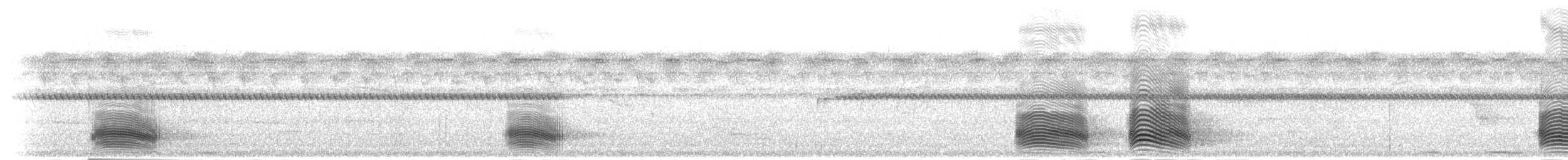 Африканский широкорот - ML278836