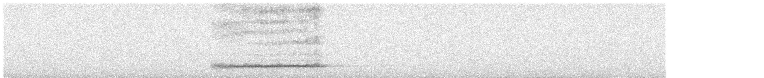 Western Barn Owl - ML278882951