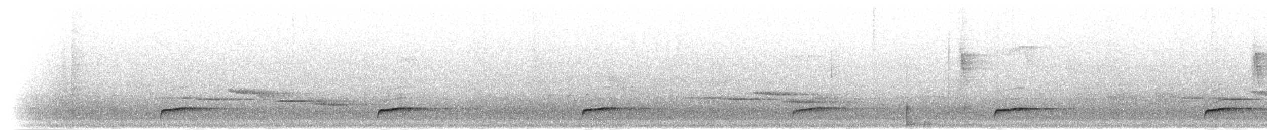 svartbuskvarsler (fuelleborni) - ML278888