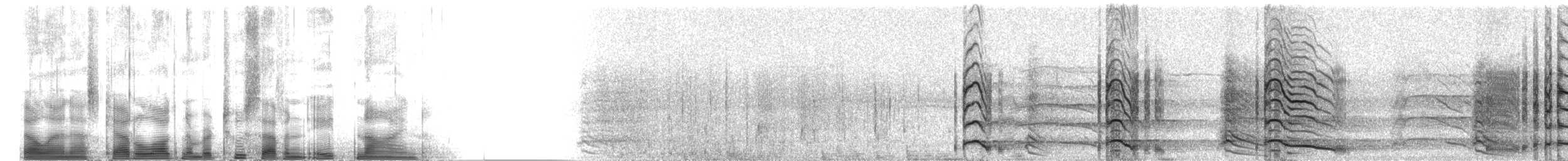 Арама [группа pictus] - ML2789