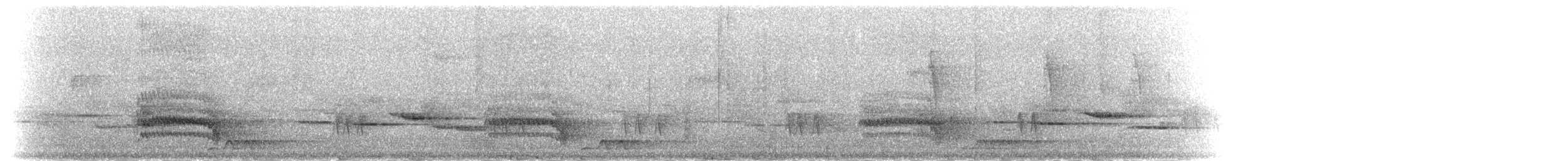 svartbuskvarsler (fuelleborni) - ML278912