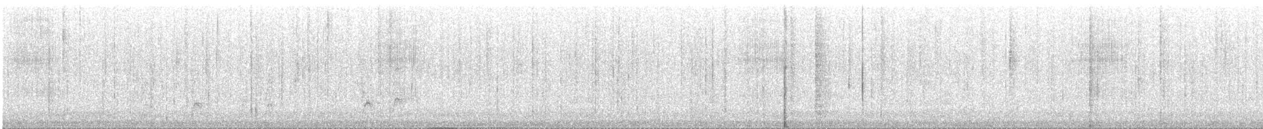 Canard siffleur - ML278912321