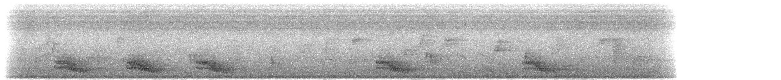 svartbuskvarsler (fuelleborni) - ML278913