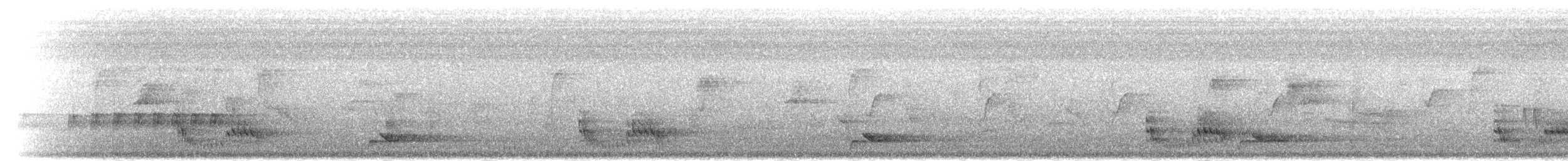 svartbuskvarsler (fuelleborni) - ML278914