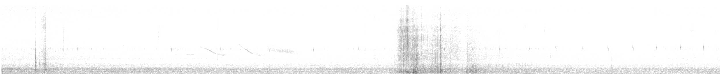 Schnabelfleck-Grundtyrann - ML278928061