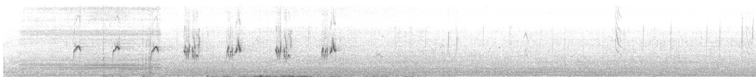 Gray-hooded Sierra Finch - ML278930531