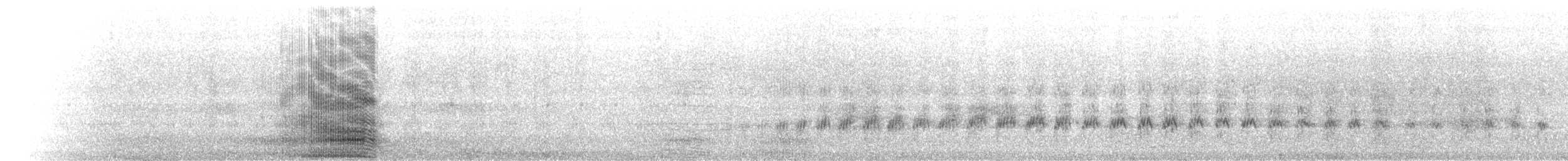 Thick-billed Murre - ML278950301