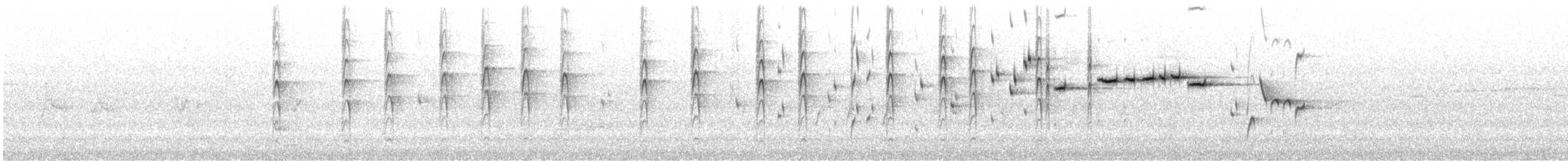 gråviftestjert - ML278952181