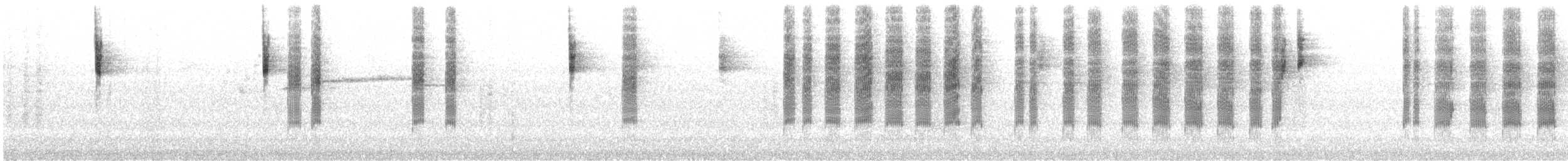 Tasmanya Serikornisi - ML278952491