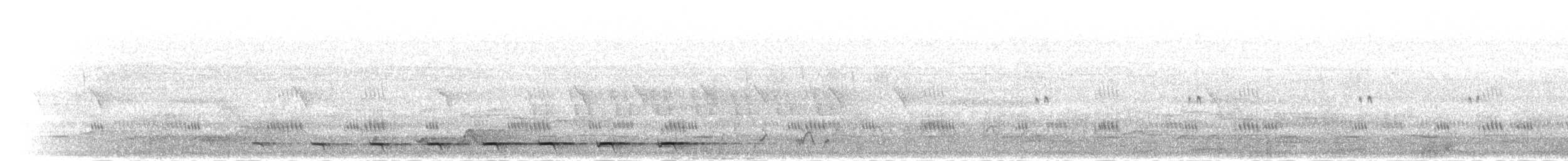 Bar-tailed Trogon - ML278958