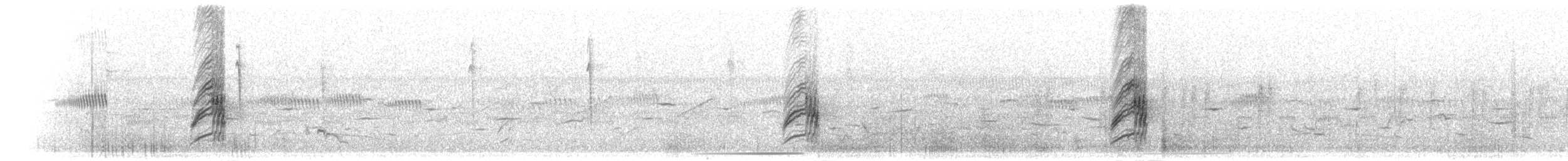 コシアカツバメ（daurica グループ） - ML278973