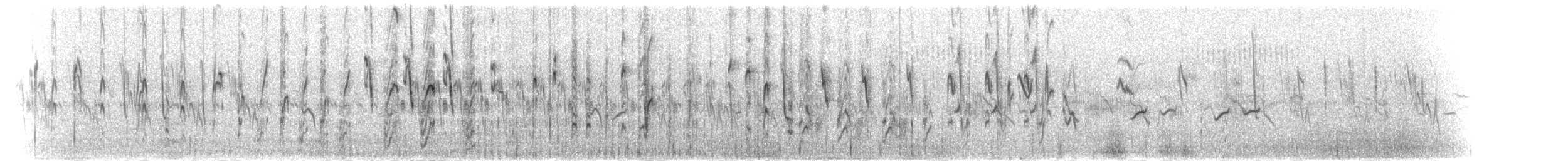 Malachitnektarvogel - ML279002