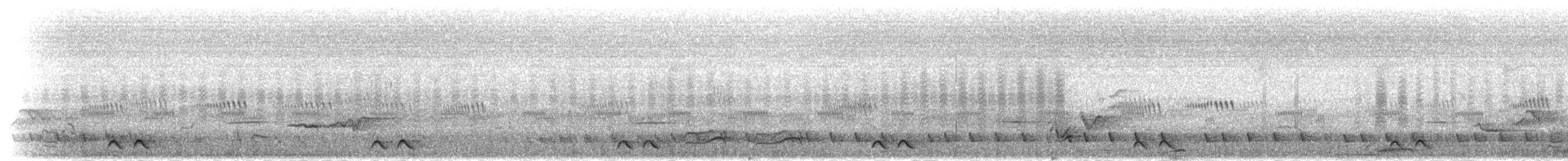 svartbuskvarsler (fuelleborni) - ML279021