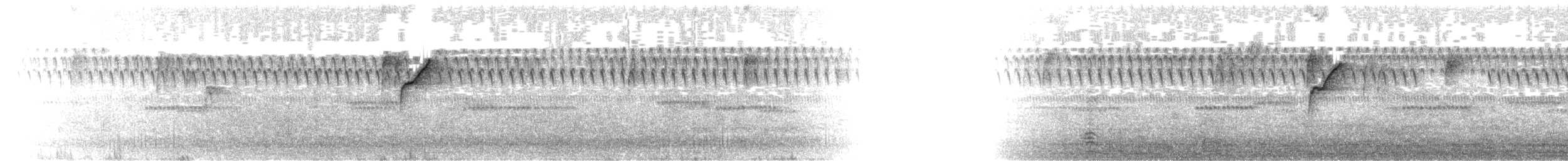 Western Flycatcher (Pacific-slope) - ML279052751