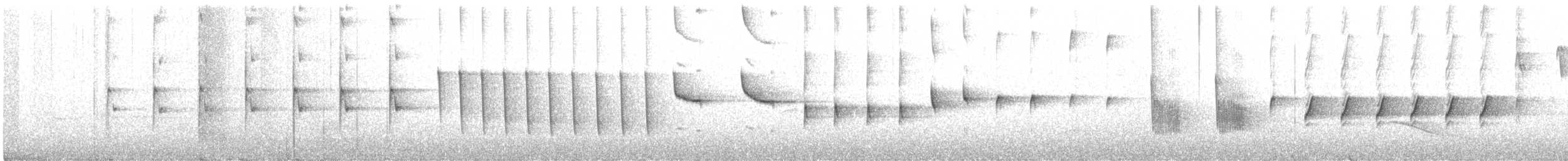 South Island Robin - ML279095001