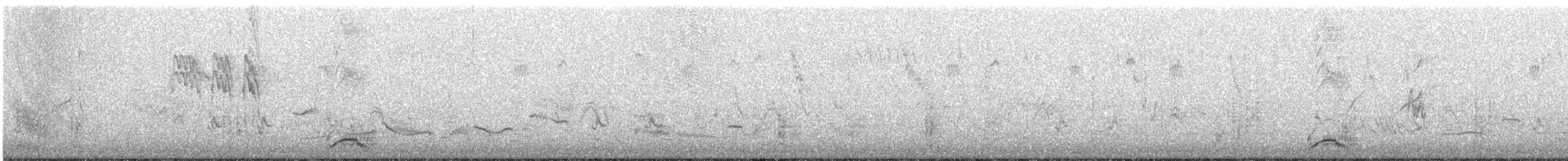 Spotless Crake - ML279103351