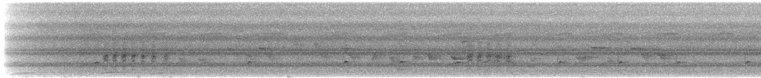 Pacific Robin - ML279108591