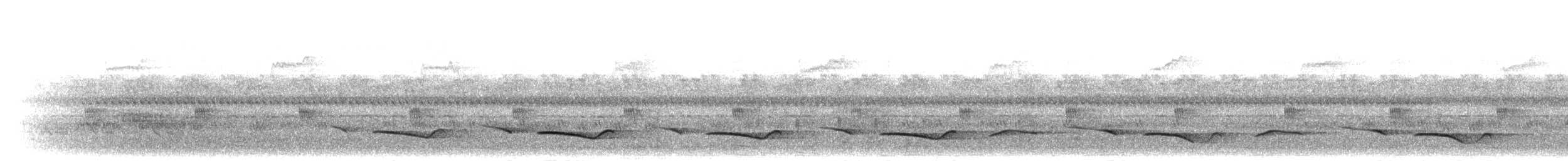 Black-crowned Tchagra - ML279111