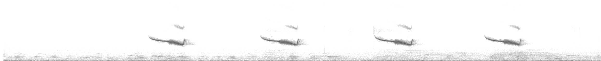 Band-winged Nightjar - ML279147351