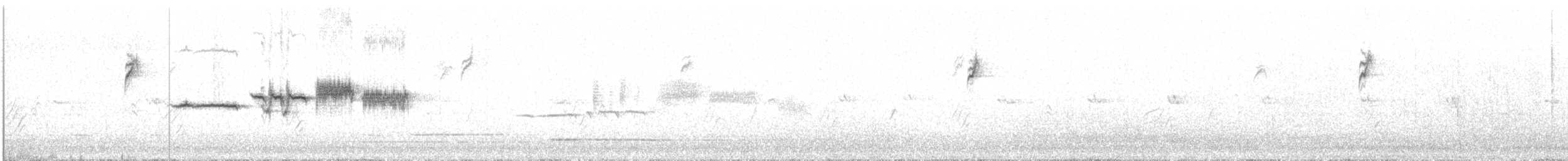 Bruant à couronne blanche (gambelii) - ML279169061