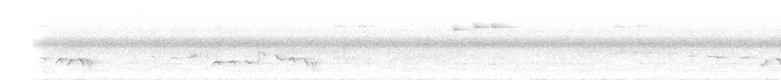 Gray-bellied Tesia - ML279312071