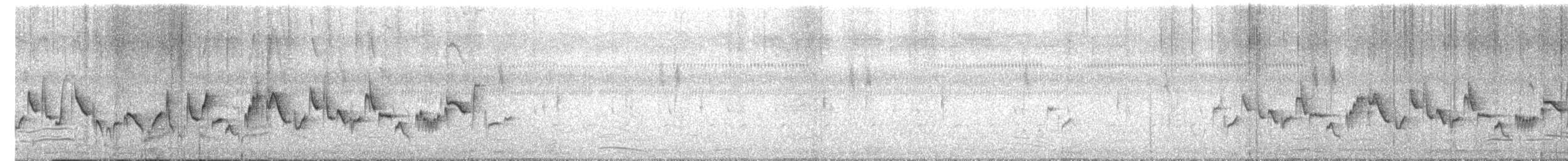 Swamp Grass Babbler - ML279334891
