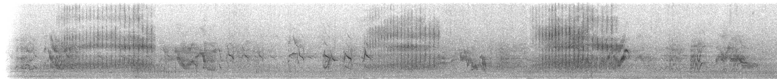 Gelbschnabel-Madenhacker - ML279371